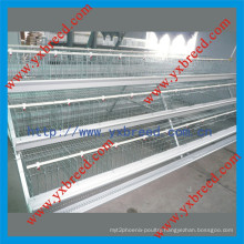 Africa Hot Selling Layer Cages